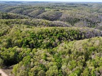 Turkey Ridge 38.88 : Mountain View : Stone County : Arkansas