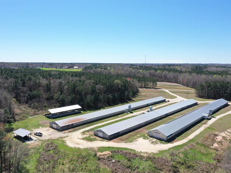 Shearin Egg Farm, Nash County, NC : Whitakers : Nash County : North Carolina