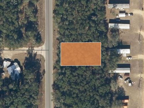 .22 Acres of Secluded Wooded Land : Interlachen : Putnam County : Florida