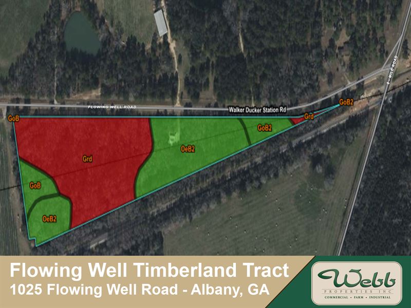 Flowing Well Timberland Tract : Albany : Dougherty County : Georgia