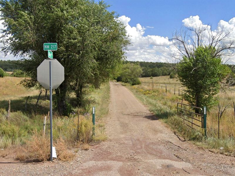 2 Acres in The Wooded Hills : Edgewood : Torrance County : New Mexico