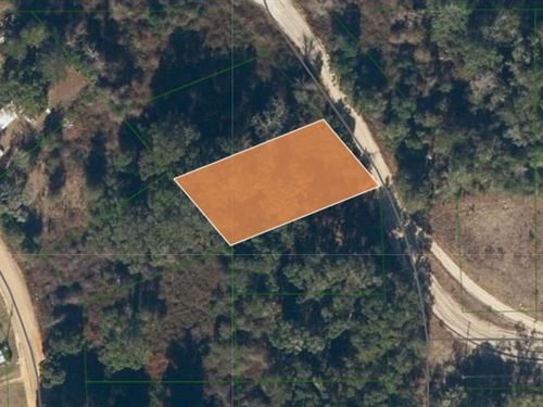 Scenic 0.24 Acre Lot in Interlachen : Interlachen : Putnam County : Florida