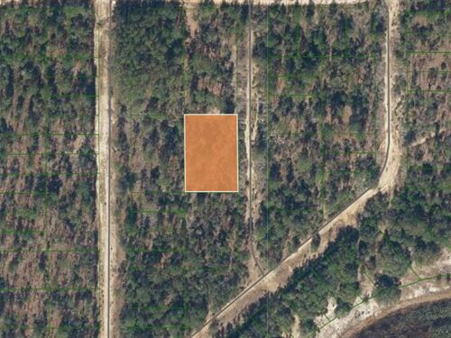 Beautiful .40 Acre Wooded Lot : Interlachen : Putnam County : Florida