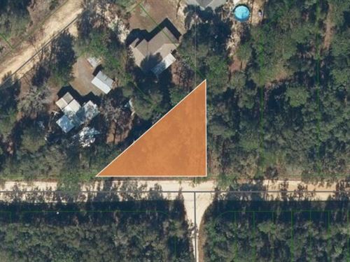 Beautiful Wooded Lot in Interlachen : Interlachen : Putnam County : Florida
