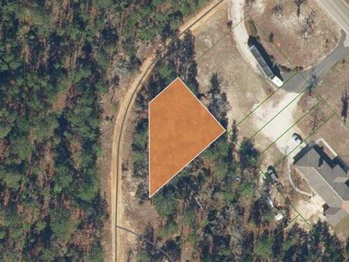 Beautiful Lightly Wooded Lot : Interlachen : Putnam County : Florida