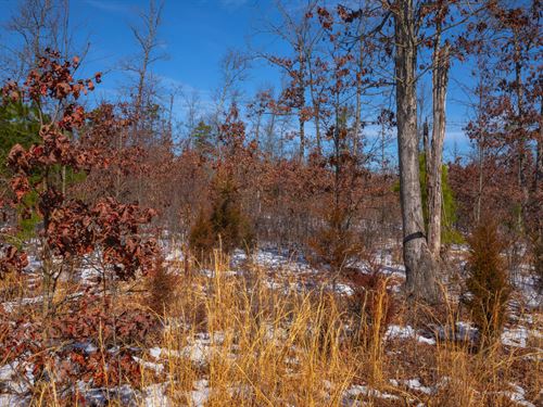 $999 Down / No Credit Check : Hartshorn : Texas County : Missouri
