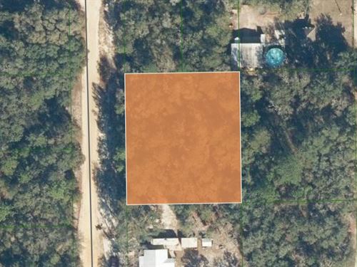 Beautiful Lot Near Georges Lake : Florahome : Putnam County : Florida