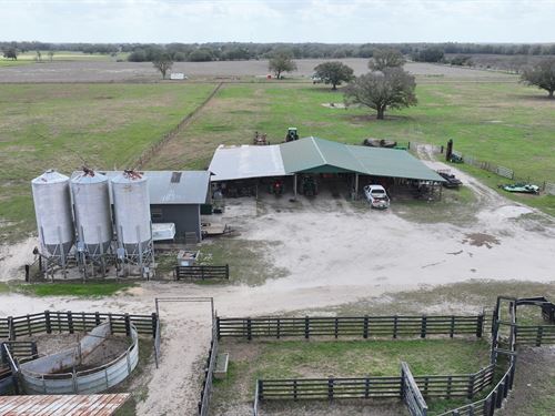 Heldon Ranch North : Morriston : Levy County : Florida