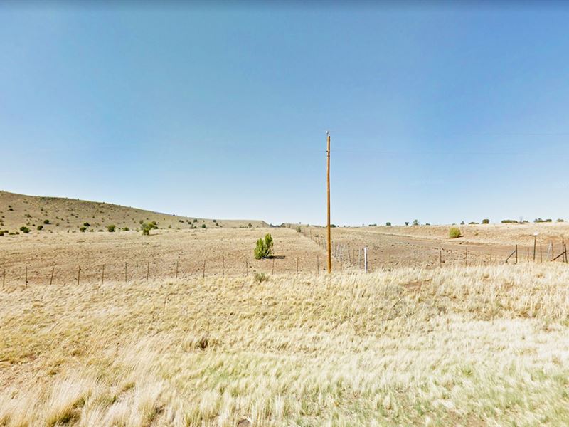 Embrace Your Freedom : Concho : Apache County : Arizona