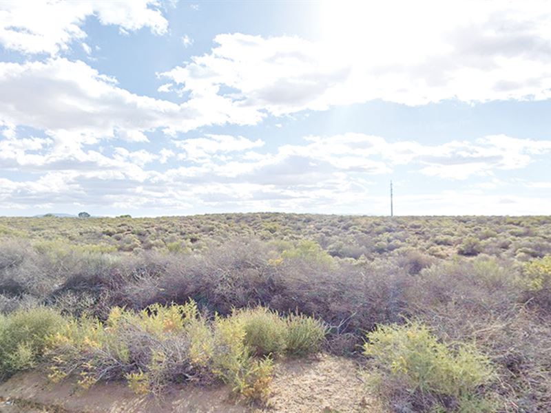 Incredible Investment Opportunity : Los Lunas : Valencia County : New Mexico