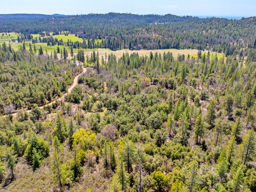 Fiske Ranch : Greeley Hill : Mariposa County : California