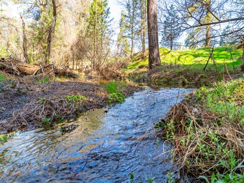 Fiske Ranch : Greeley Hill : Mariposa County : California