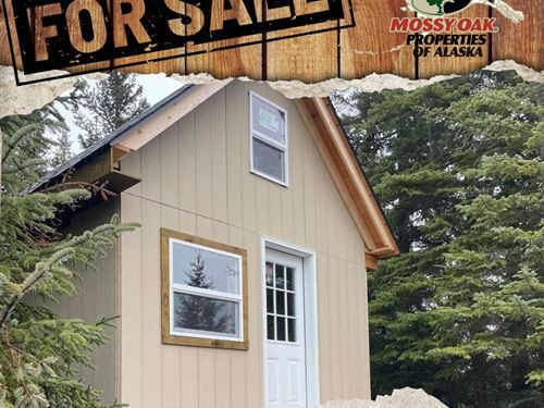 Brand New Cabin Tucked Away in : Anchor Point : Kenai Peninsula Borough : Alaska