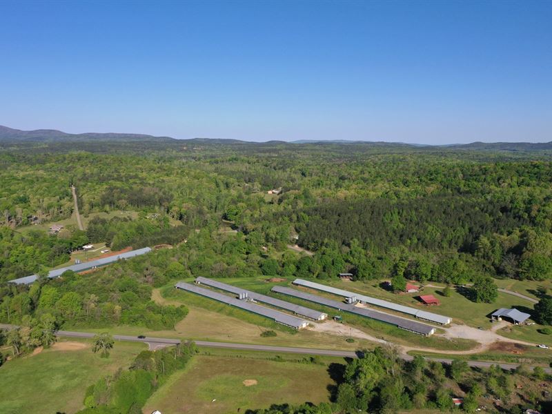 New Price-County Line Broiler Farm : Delta : Cleburne County : Alabama