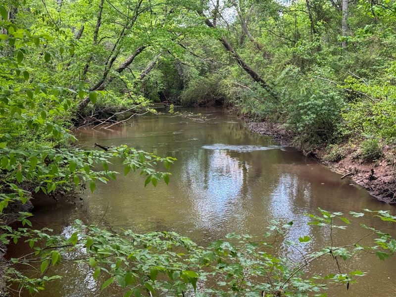 206 Acres Chambers Co, AL : Lafayette : Chambers County : Alabama