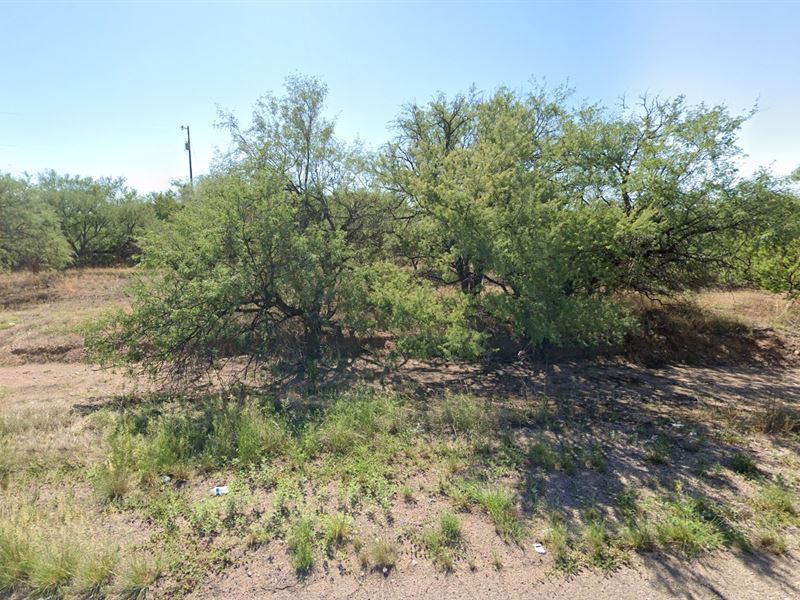 Escape The City, Hug a Cactus : Rio Rico : Santa Cruz County : Arizona