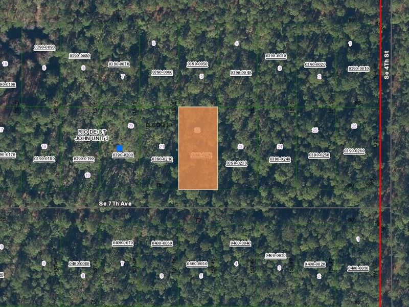 Federal Point Gem, $199 to Own : Federal Point : Putnam County : Florida