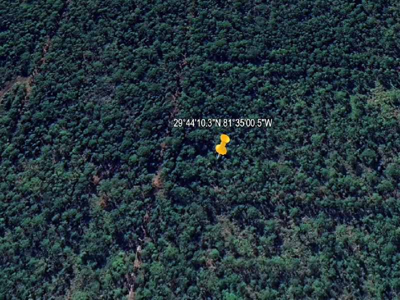 Your Land Journey Starts $199 Down : Federal Point : Putnam County : Florida