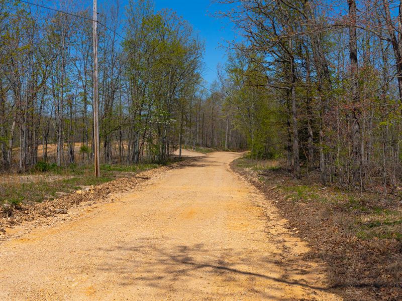 Land with Power, $199 Down : Mammoth Spring : Fulton County : Arkansas