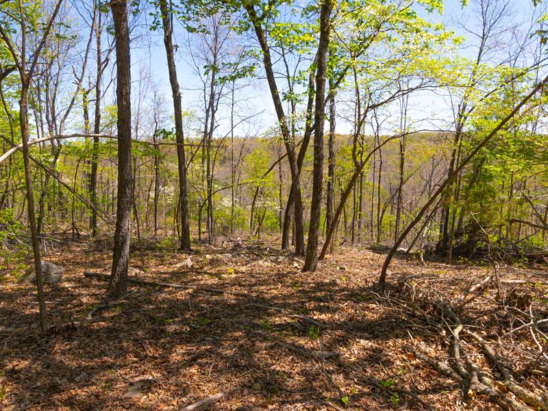 $999 Down/Multiple Available : Mammoth Spring : Fulton County : Arkansas