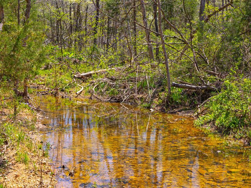 With Wet Weather Creek, $999 Down : Mammoth Spring : Fulton County : Arkansas