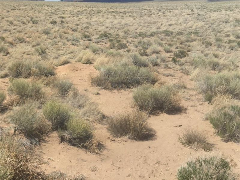 Live Off-Grid in Nature : Mesita : Costilla County : Colorado