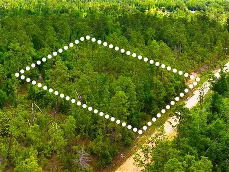 1.11 Acres Only 11 Min to Alford : Alford : Jackson County : Florida