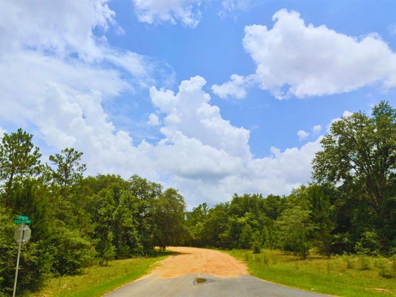 .92 Acres Only 12 Min to Alford : Alford : Jackson County : Florida