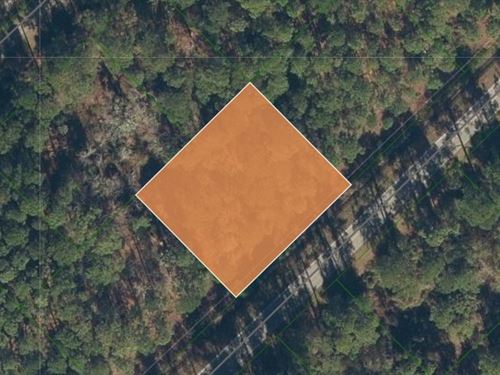 Build Your Dreams in Paradise Lakes : Georgetown : Putnam County : Florida