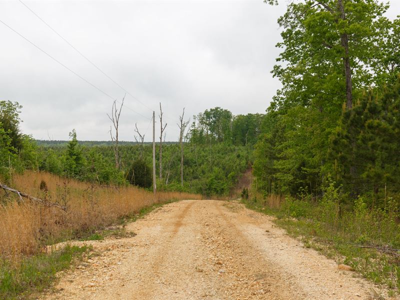 $999 Down with Electricity : Holladay : Benton County : Tennessee