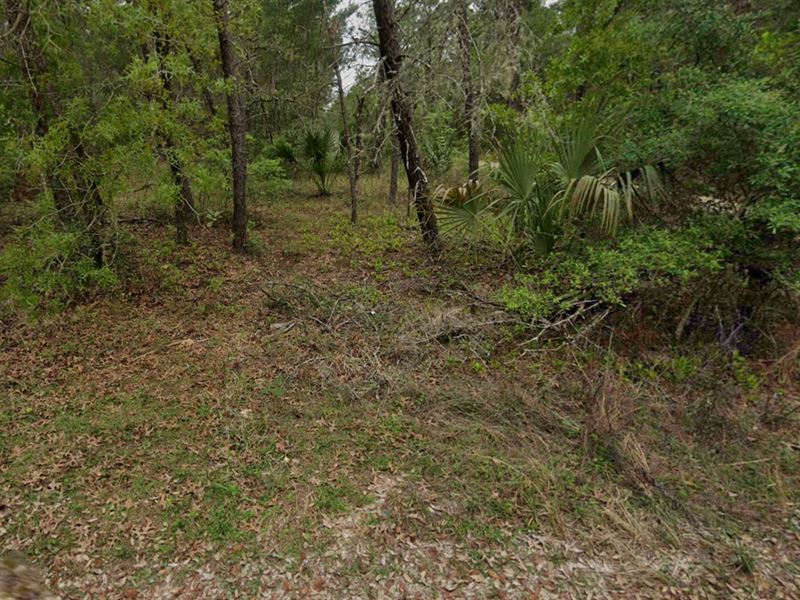 Your Perfect Retreat Awaits : Satsuma : Putnam County : Florida
