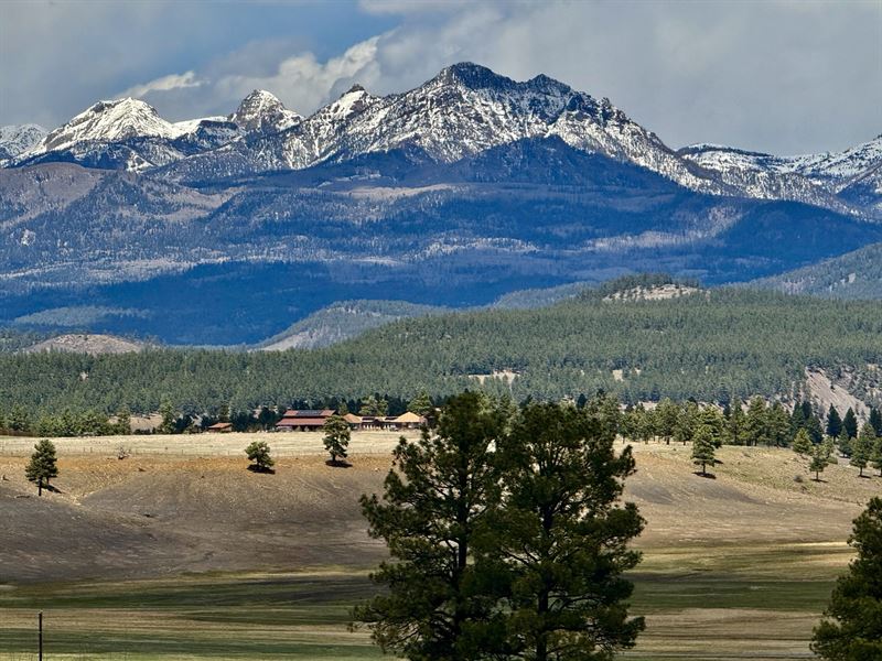 Continental Cabin : Pagosa Springs : Archuleta County : Colorado