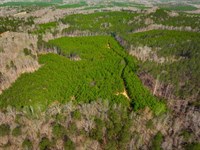 Ridgeview West Tract : Chester : South Carolina