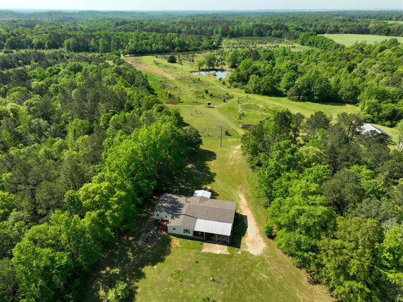 220 Acre Hunting Property and Homes : Autaugaville : Autauga County : Alabama