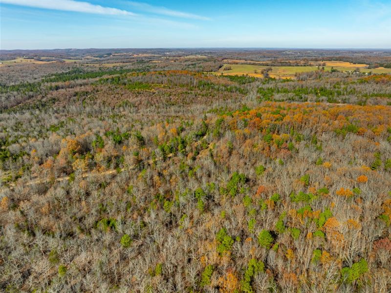 40 Acres, Hunters Paradise, Matu : Cave City : Sharp County : Arkansas