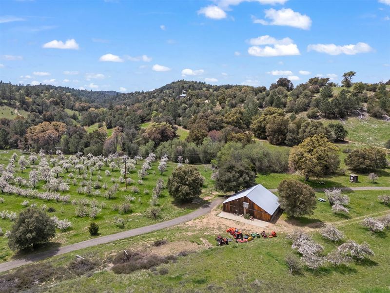 Apple Starr Orchard : Julian : San Diego County : California