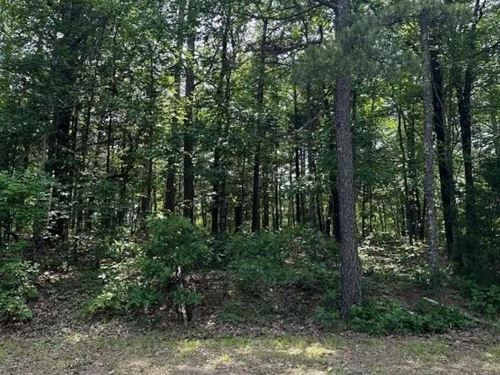 Serene Dave Creek Pkwy Area Wooded : Fairfield Bay : Van Buren County : Arkansas