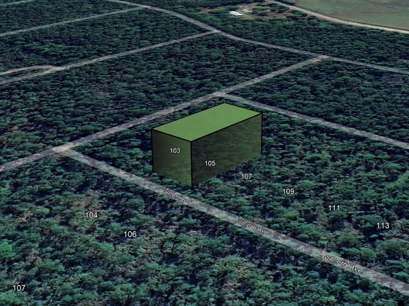 $199 Down Gets You Land, Act Fast : Federal Point : Putnam County : Florida