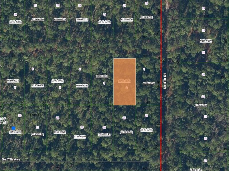 Off-Grid Living Starts at $199 Down : Federal Point : Putnam County : Florida