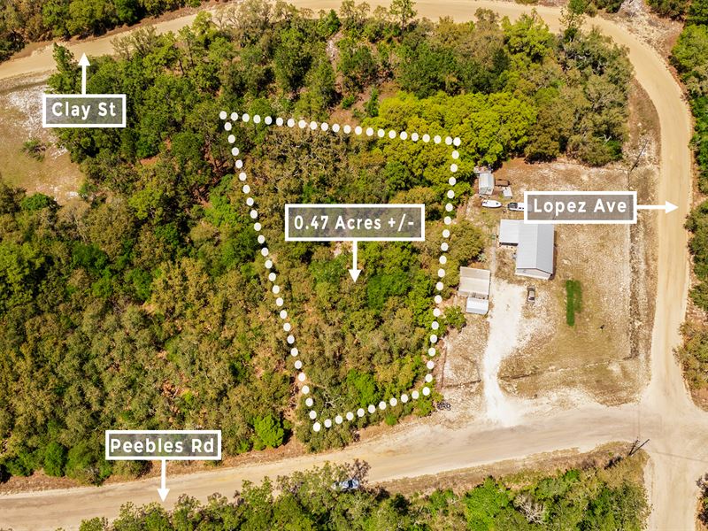 Serene Lot with Beautiful Live Oaks : Interlachen : Putnam County : Florida