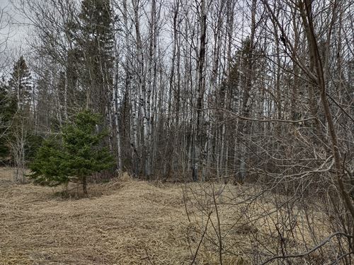 Michigan 40 +/- Acres Parcel I : L'anse : Baraga County : Michigan