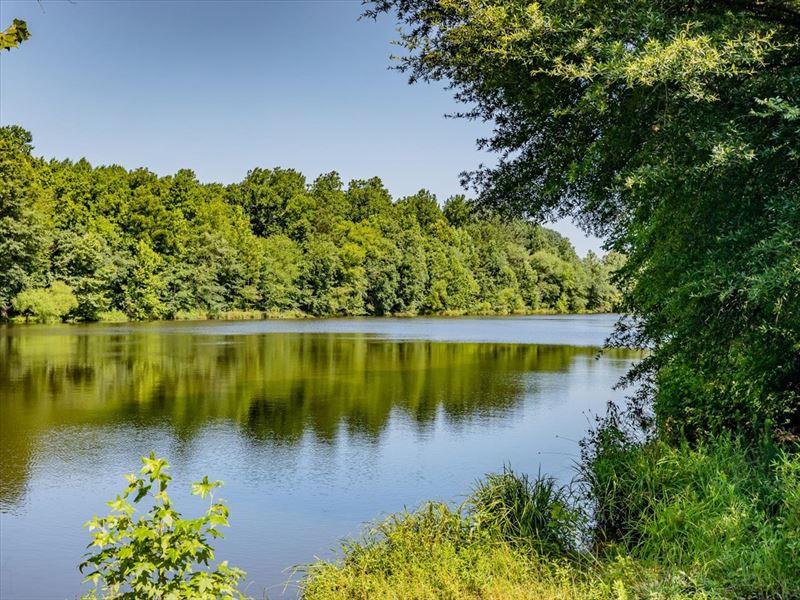 Dozens of Ponds on Rare Lg Acreage : Bear Creek : Chatham County : North Carolina