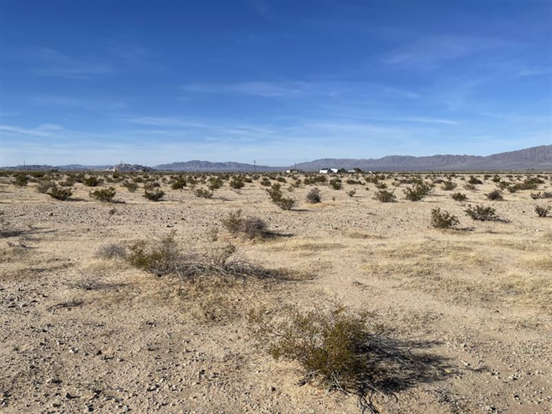 Unmatched Land for Unique Investor : Twentynine Palms : San Bernardino County : California