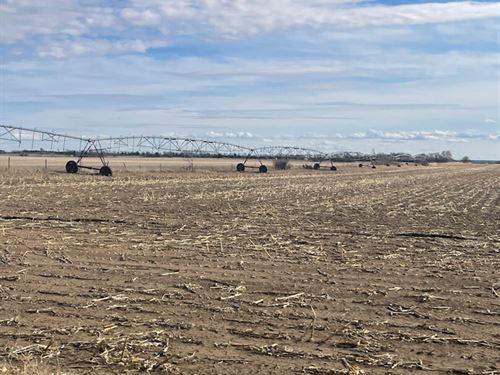 80 Acres, Irrigated Farmland : Verdigre : Knox County : Nebraska