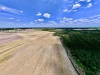 Updated, 19.95 Acres of Multi-Use : Trenton : Jones County : North Carolina