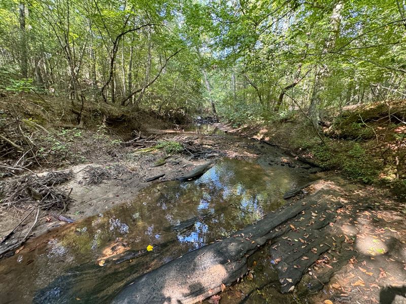 321 Hidden Lakes Drive : Albany : Dougherty County : Georgia