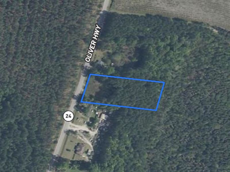 2 Acres on Oliver Hwy, Newington GA : Newington : Screven County : Georgia