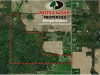 63 Acres Wooded & Wildlife : Covert : Van Buren County : Michigan