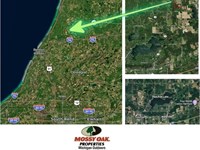 63 Acres Wooded & Wildlife : Covert : Van Buren County : Michigan