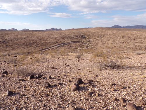 Don't Miss This for a Limited Time : Yucca : Mohave County : Arizona